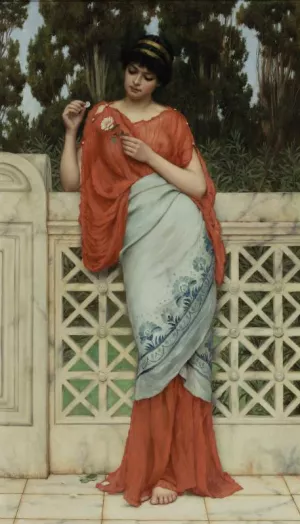 He Loves Me, He Loves Me Not by John William Godward Oil Painting