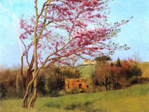 Landscape - Blossoming Red Almond