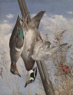 Hanging Game Birds by John William Hill Oil Painting