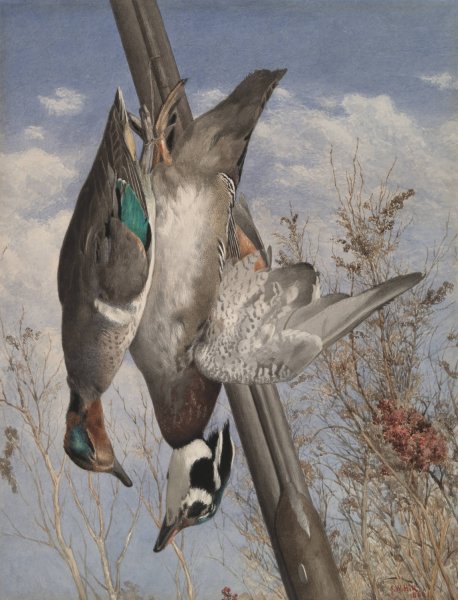 Main Product Photo of Hanging Game Birds  Painting by John William Hill