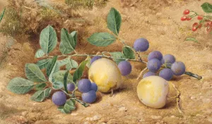 Plums by John William Hill Oil Painting