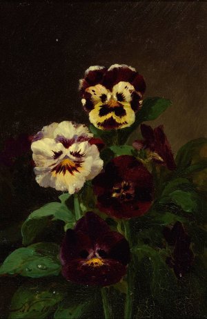 Pansies by John Williamson Oil Painting