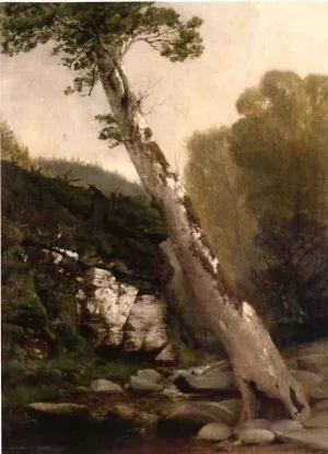 Sycamore, Catskill Clove, Below Haines Falls by John Williamson Oil Painting