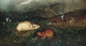 Hudson's Bay Lemming by John Woodhouse Audubon Oil Painting