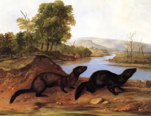 Mountain Brook Minks by John Woodhouse Audubon Oil Painting
