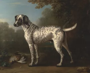 A Grey Spotted Hound by John Wootton Oil Painting