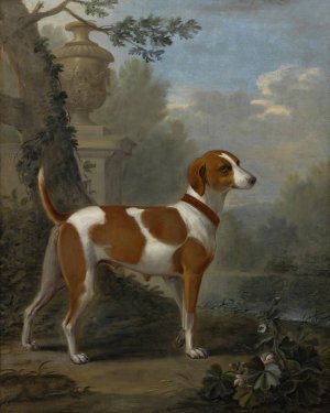 Portrait Of The Duke Of Hamilton's Hound 'Jewell' by John Wootton Oil Painting
