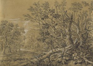 Stream through an Ancient Forest by Jonas Umbach Oil Painting