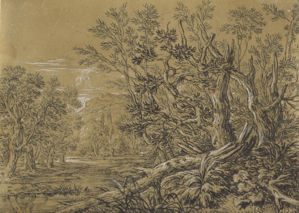 Stream through an Ancient Forest by Jonas Umbach - Hand-Painted Oil Painting Reproduction