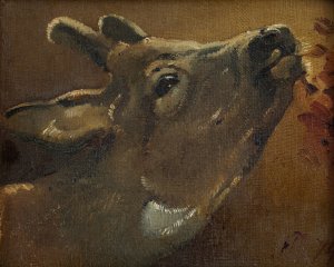Study of a deer by Jorgen Roed Oil Painting