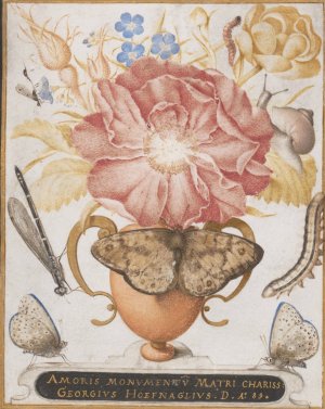 Still Life with Flowers, a Snail and Insects by Joris Hoefnagel Oil Painting