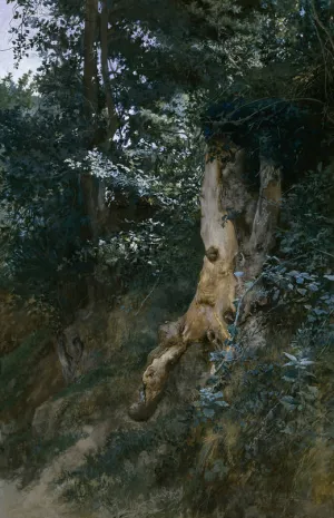 Paisaje Boscoso by Jose Jimenez y Aranda Oil Painting
