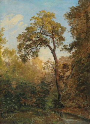 Woodland Interior by Josef Feid Oil Painting