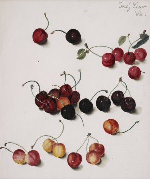 Kirschen by Josef Lauer Oil Painting