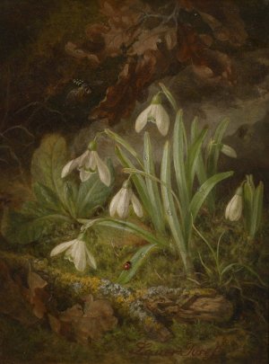 Waldbodenstuck mit Schneeglockchen by Josef Lauer Oil Painting