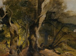 Waldstudie by Josef Navratil Oil Painting