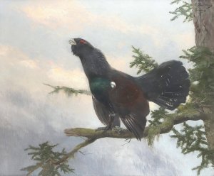 Auerhahn by Josef Schmitzberger Oil Painting