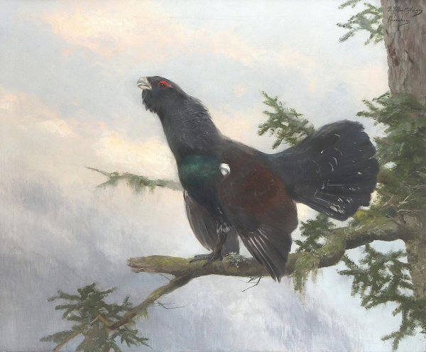 Auerhahn by Josef Schmitzberger - Hand-Painted Oil Painting Reproduction