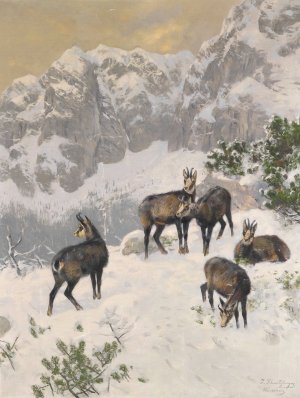 Gamse im Winter by Josef Schmitzberger Oil Painting