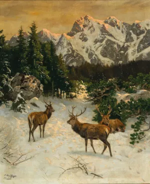 Red Deer in the Alps in Winter by Josef Schmitzberger Oil Painting