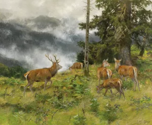 Rotwild im Morgennebel by Josef Schmitzberger Oil Painting