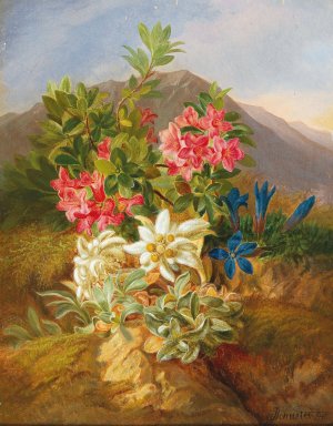 Alpine Flowers by Josef Schuster Oil Painting