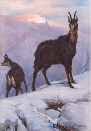 Zwei Gamsen im winterlichen Hochgebirge by Josef Straka Oil Painting