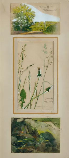 Studien nach der Natur Oil painting by Josef Wawra