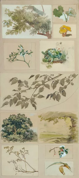 Studien nach der Natur by Josef Wawra Oil Painting