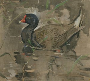 The Moorhen by Joseph Crawhall Oil Painting