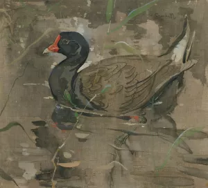 The Moorhen by Joseph Crawhall Oil Painting