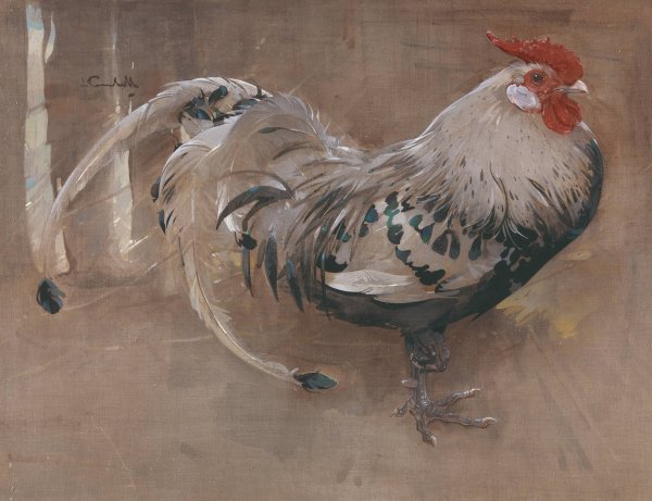 Main Product Photo of The Spangled Cock  Painting by Joseph Crawhall