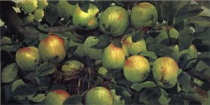 Green Apples