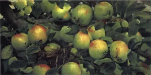 Green Apples by Joseph Decker Oil Painting