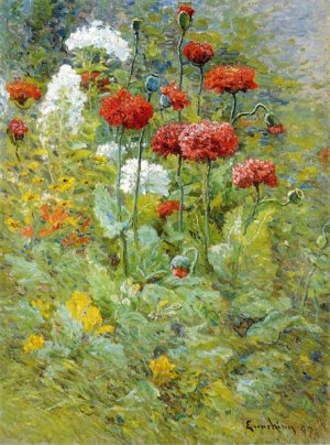 Flowers in a Garden