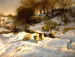 Sheep in the Snow