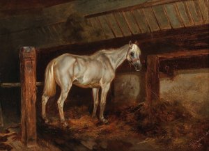 Schimmel im Stall by Joseph Heicke Oil Painting