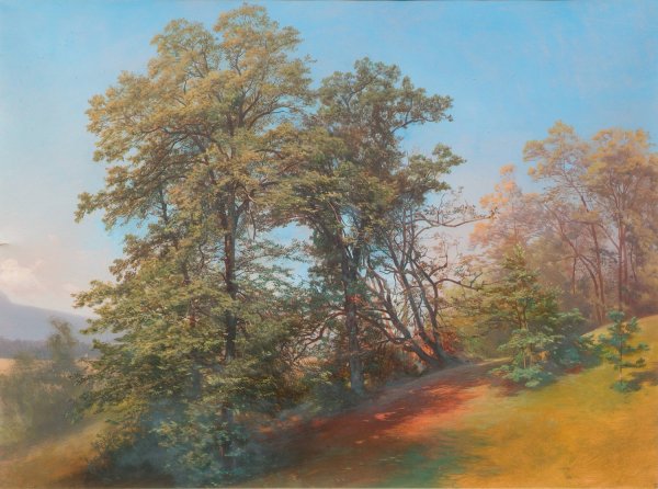 Main Product Photo of Baumgruppe am Monchsberg in Salzburg Painting by Joseph Holzer