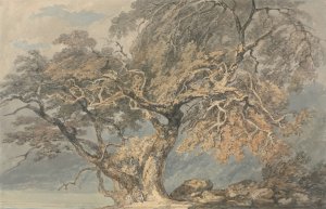 A Great Tree by Joseph Mallord William Turner Oil Painting