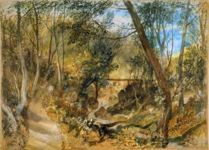 The Woodwalk, Farnley Hall by Joseph Mallord William Turner Oil Painting
