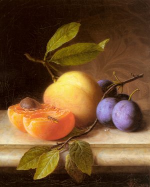 Stilleben Mit Pfirsich Und Pflaumen by Joseph Peter Wilms Oil Painting