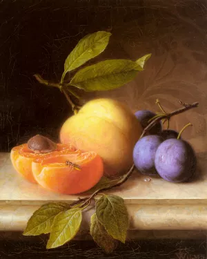 Stilleben Mit Pfirsich Und Pflaumen by Joseph Peter Wilms Oil Painting
