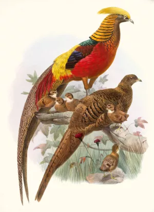 Thaumalea obscura by Joseph Smit Oil Painting