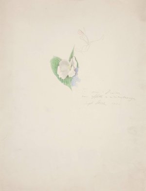 Flower by Joseph Stella Oil Painting