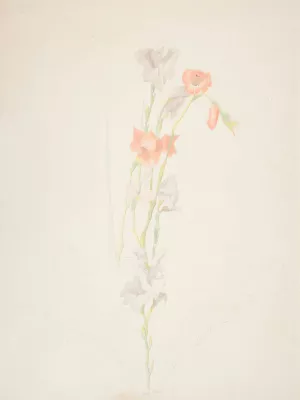 Flowers by Joseph Stella Oil Painting