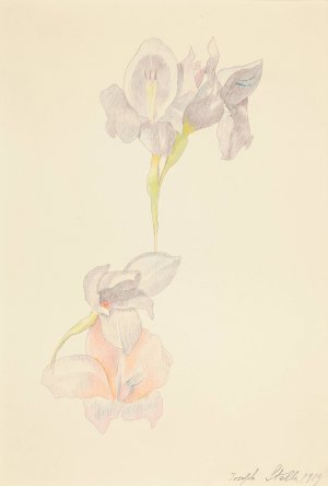Gladioli by Joseph Stella Oil Painting