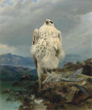 A Gyrfalcon In An Extensive Mountainous Landscape by Joseph Wolf Oil Painting