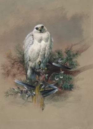 The Greenland Falcon by Joseph Wolf Oil Painting