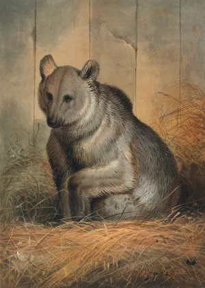The Syrian Bear by Joseph Wolf Oil Painting