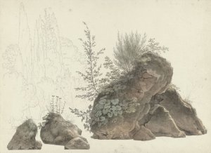 Overgrown Rocks by Josephus Augustus Knip Oil Painting